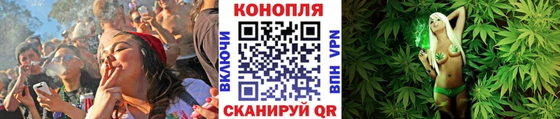 Бошки Шишки THC 21%  гидра сайт  Тырныауз  маркетплейс какой сайт  магазин  наркотиков 